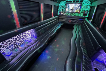 Rowlett Limo Bus Interior